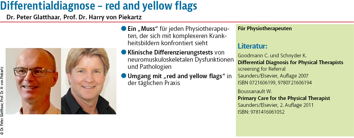 Differentialdiagnose_-_red_and_yellow_flags.jpg
